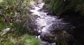 DSCF3079.JPG